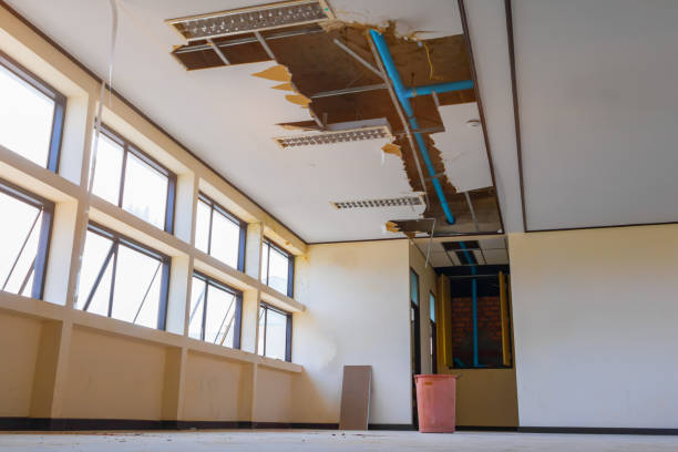 Best 24-hour water damage restoration  in Buckhead Ridge, FL