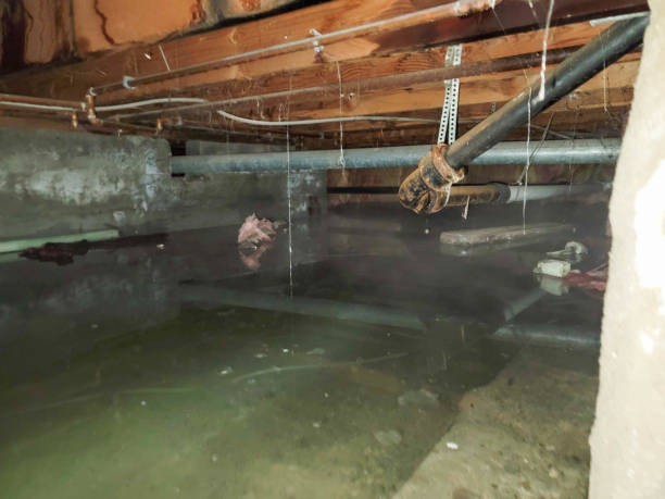 Best Sewage cleanup and water damage restoration  in Buckhead Ridge, FL