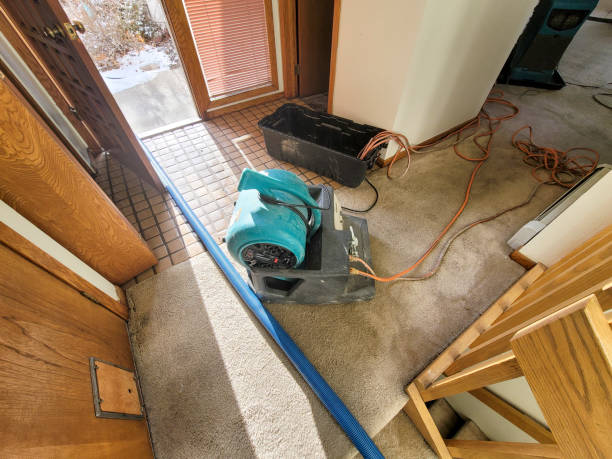 Best 24/7 water damage repair  in Buckhead Ridge, FL