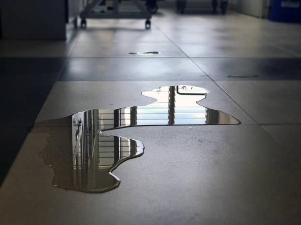 Best Water damage cleanup near me  in Buckhead Ridge, FL
