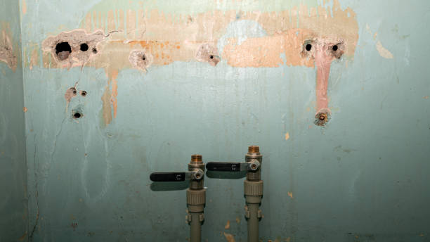 Best Water damage restoration near me  in Buckhead Ridge, FL